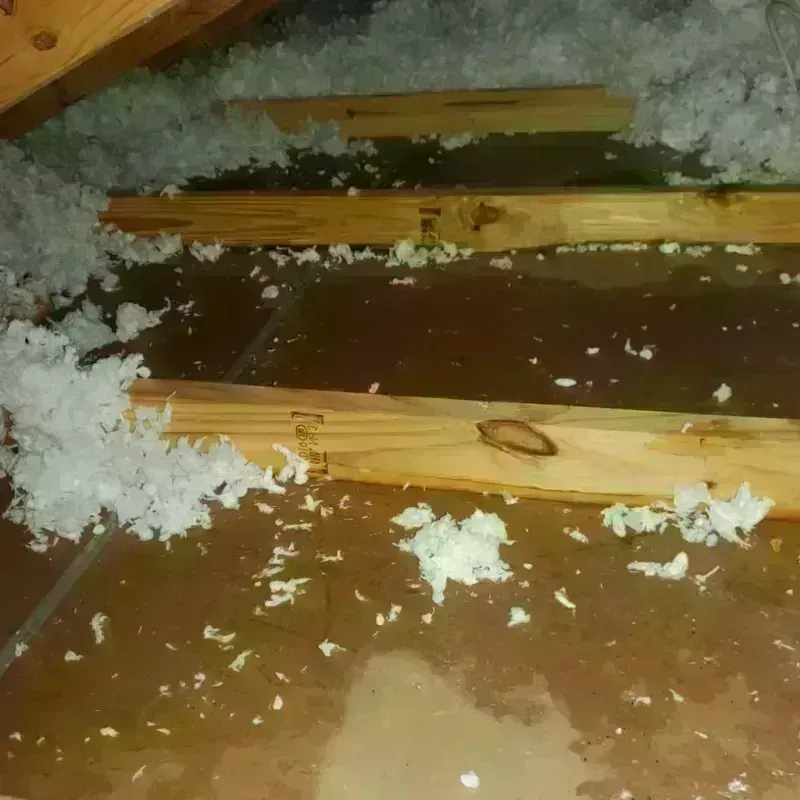 Attic Water Damage in Carencro, LA